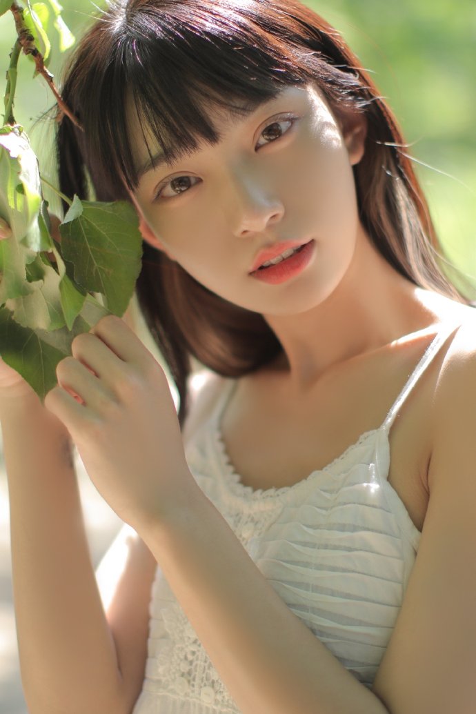 亮剑