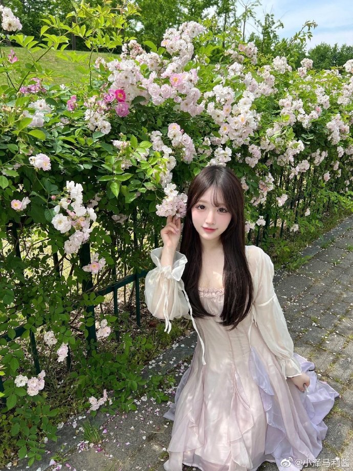 蜘蛛巢城